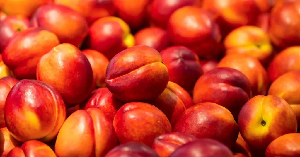 Frutas da estação de dezembro